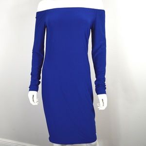 Blue Mid-Length Long Sleeve Dress